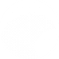 image credit: transformation of https://commons.wikimedia.org/wiki/File:Crotophaga-ani-001.jpg by Mdf (CC BY-SA 3.0)